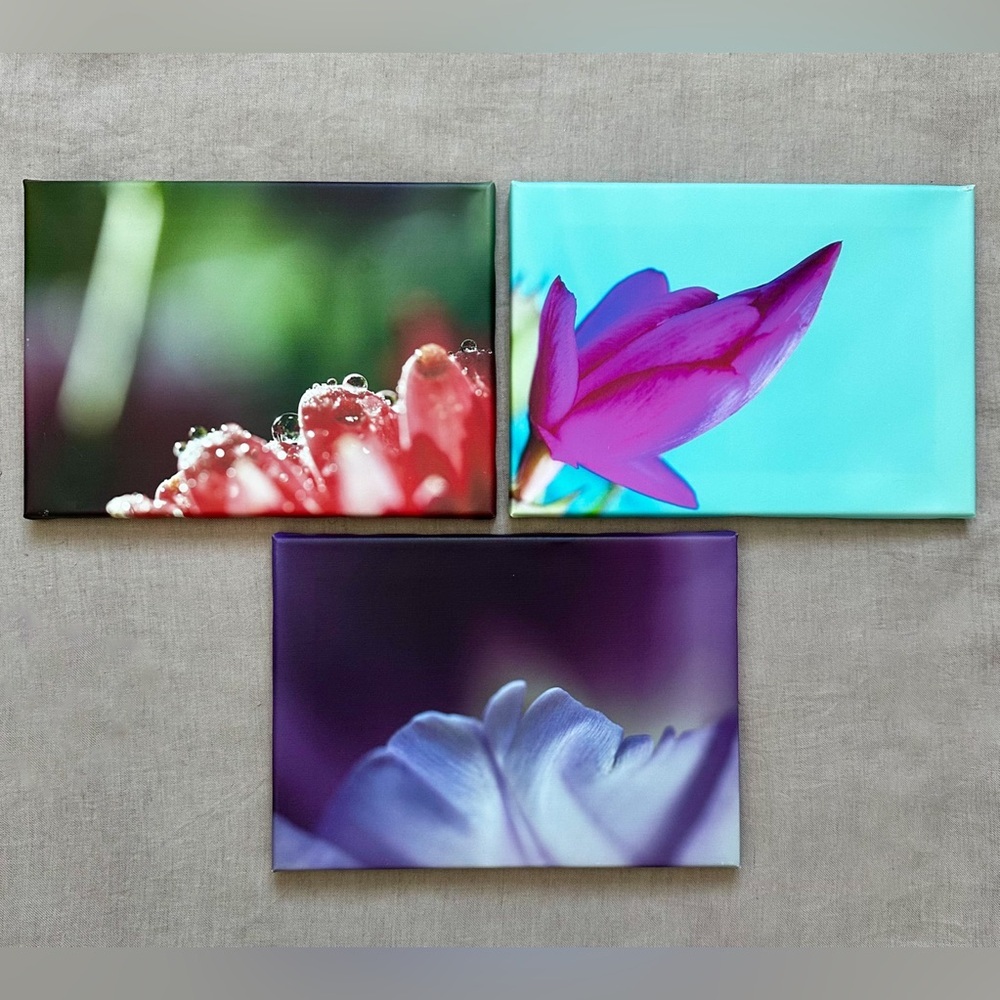 Set of 3 canvas prints | abstract flowers